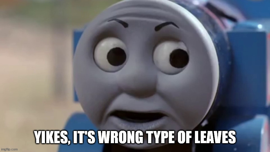 Thomas O Face | YIKES, IT'S WRONG TYPE OF LEAVES | image tagged in thomas o face | made w/ Imgflip meme maker