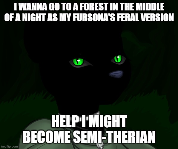 My new panther fursona | I WANNA GO TO A FOREST IN THE MIDDLE OF A NIGHT AS MY FURSONA'S FERAL VERSION; HELP I MIGHT BECOME SEMI-THERIAN | image tagged in my new panther fursona | made w/ Imgflip meme maker