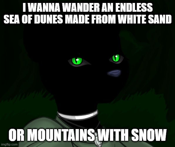 My new panther fursona | I WANNA WANDER AN ENDLESS SEA OF DUNES MADE FROM WHITE SAND; OR MOUNTAINS WITH SNOW | image tagged in my new panther fursona | made w/ Imgflip meme maker