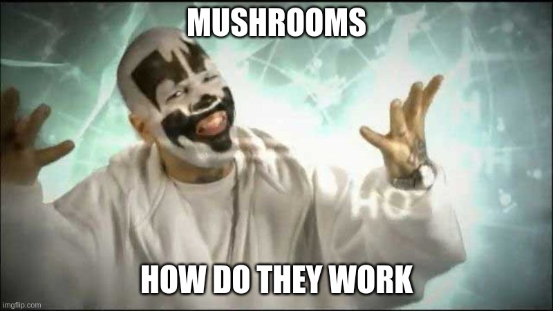 Magnets how do they work | MUSHROOMS; HOW DO THEY WORK | image tagged in magnets how do they work | made w/ Imgflip meme maker