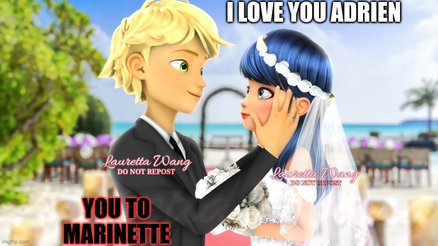 adrien | I LOVE YOU ADRIEN; YOU TO MARINETTE | image tagged in rocky adrian | made w/ Imgflip meme maker