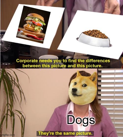 They're The Same Picture Meme | Dogs | image tagged in memes,they're the same picture,dogs | made w/ Imgflip meme maker