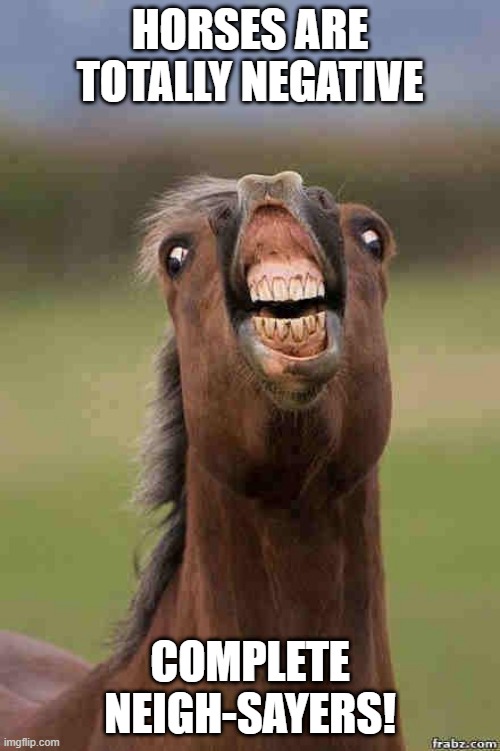 Negative Horse | HORSES ARE TOTALLY NEGATIVE; COMPLETE NEIGH-SAYERS! | image tagged in horse face | made w/ Imgflip meme maker