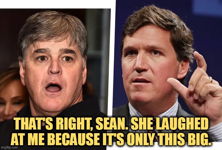 THAT'S RIGHT, SEAN. SHE LAUGHED AT ME BECAUSE IT'S ONLY THIS BIG. | image tagged in sean hannity,tucker carlson,disappointment,small | made w/ Imgflip meme maker
