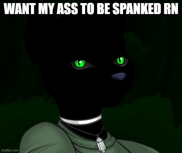 My new panther fursona | WANT MY ASS TO BE SPANKED RN | image tagged in my new panther fursona | made w/ Imgflip meme maker