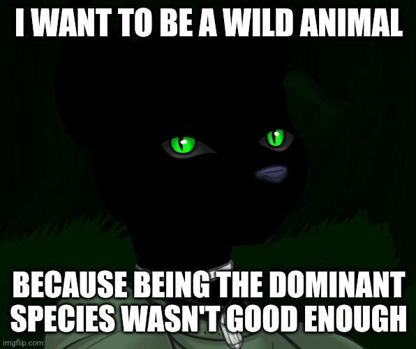 Temp steal | I WANT TO BE A WILD ANIMAL; BECAUSE BEING THE DOMINANT SPECIES WASN'T GOOD ENOUGH | image tagged in my new panther fursona | made w/ Imgflip meme maker