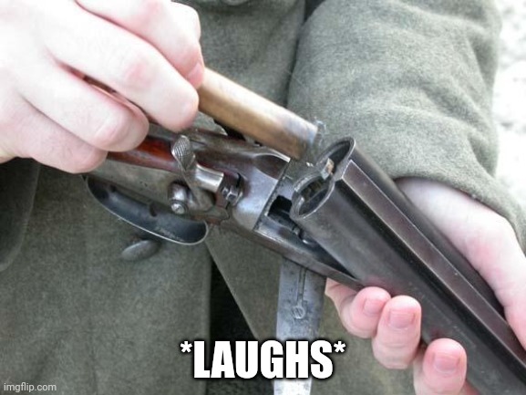 Shotgun Loading | *LAUGHS* | image tagged in shotgun loading | made w/ Imgflip meme maker