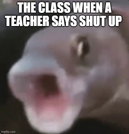 Poggers Fish | THE CLASS WHEN A TEACHER SAYS SHUT UP | image tagged in poggers fish | made w/ Imgflip meme maker