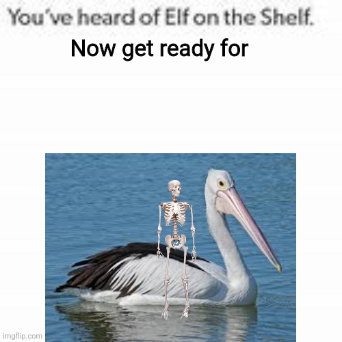 Skeleton with pelican | Now get ready for | image tagged in pelican,skeleton | made w/ Imgflip meme maker