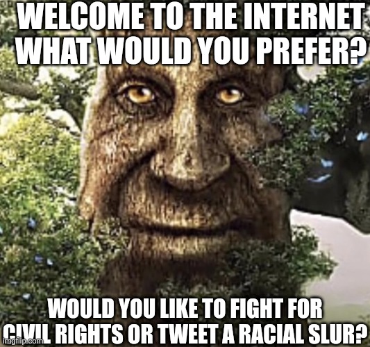 wise mystical tree | WELCOME TO THE INTERNET
WHAT WOULD YOU PREFER? WOULD YOU LIKE TO FIGHT FOR CIVIL RIGHTS OR TWEET A RACIAL SLUR? | image tagged in wise mystical tree | made w/ Imgflip meme maker