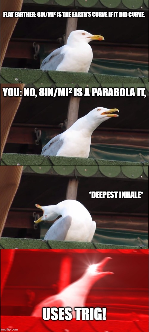 Rounded Earth | FLAT EARTHER: 8IN/MI² IS THE EARTH'S CURVE IF IT DID CURVE. YOU: NO, 8IN/MI² IS A PARABOLA IT, *DEEPEST INHALE*; USES TRIG! | image tagged in memes,inhaling seagull | made w/ Imgflip meme maker