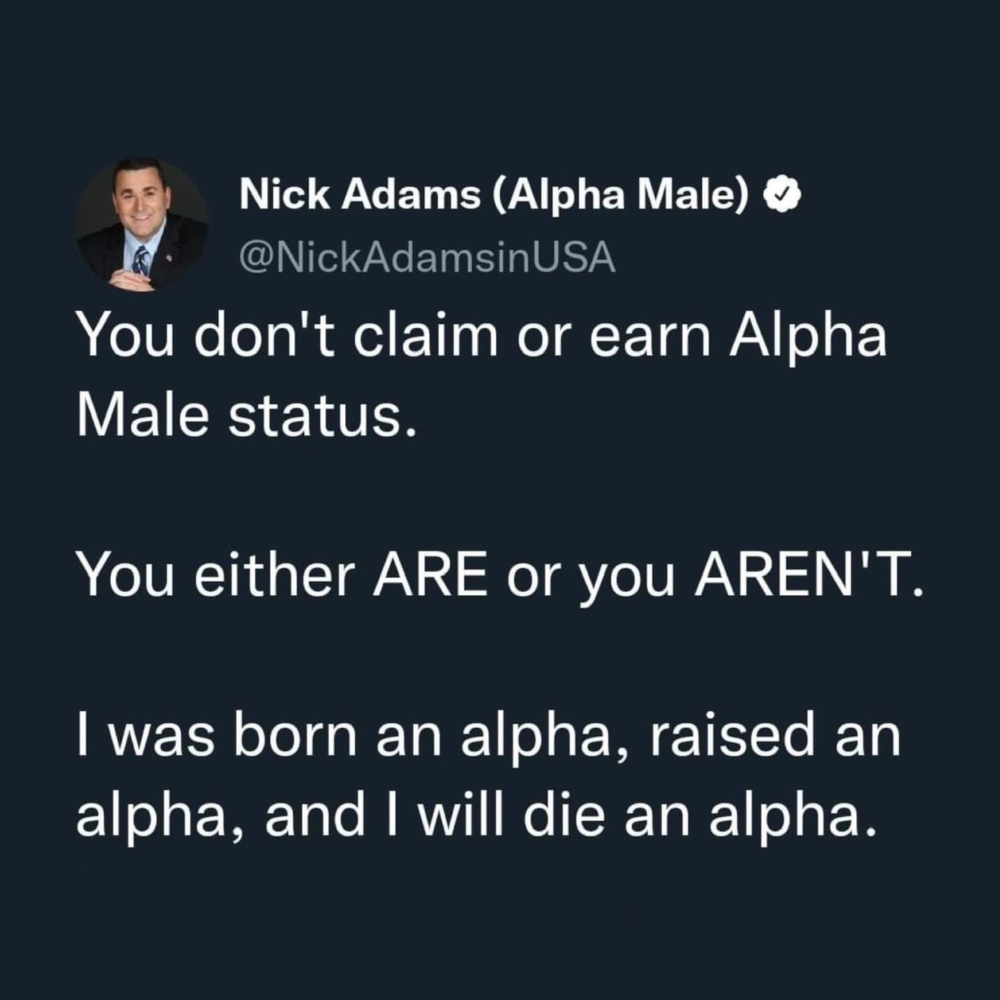 Nick Adams Alpha Male Blank Meme Template