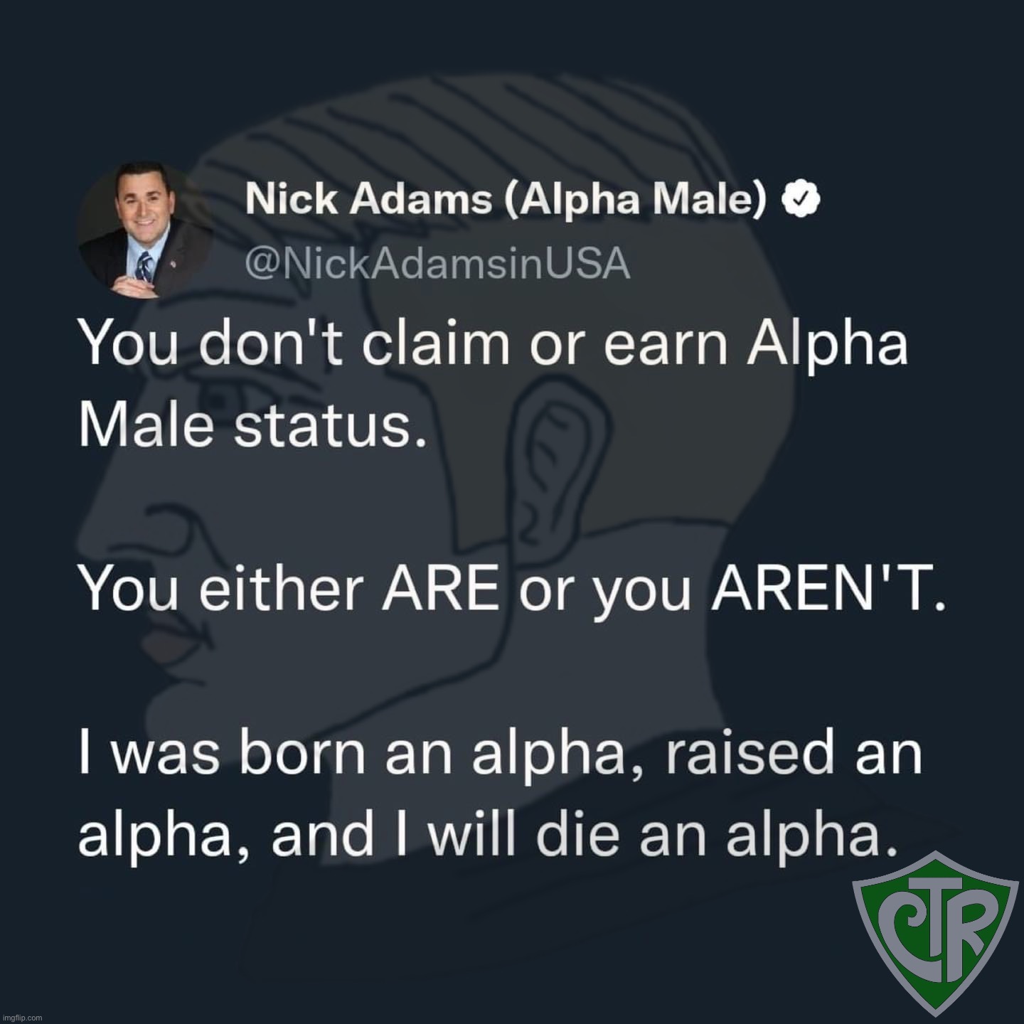Clearing up myths about alpha masculinity. #crt | image tagged in c,r,t,crt,choose right theory,alpha male | made w/ Imgflip meme maker