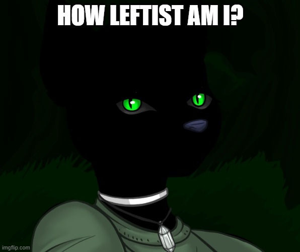 My new panther fursona | HOW LEFTIST AM I? | image tagged in my new panther fursona | made w/ Imgflip meme maker