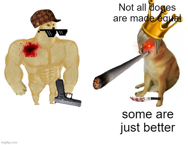 not all are made equal | Not all doges are made equal; some are just better | image tagged in memes,buff doge vs cheems | made w/ Imgflip meme maker