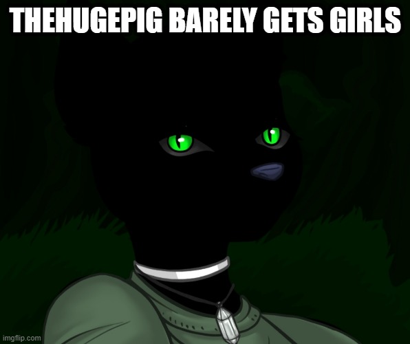 My new panther fursona | THEHUGEPIG BARELY GETS GIRLS | image tagged in my new panther fursona | made w/ Imgflip meme maker