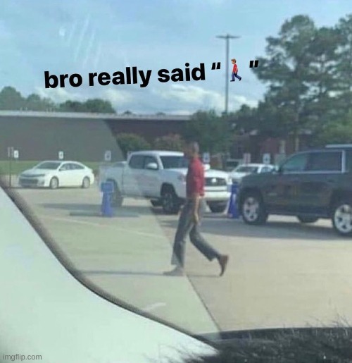 Bro Really Said... Meme | image tagged in bro really said meme | made w/ Imgflip meme maker