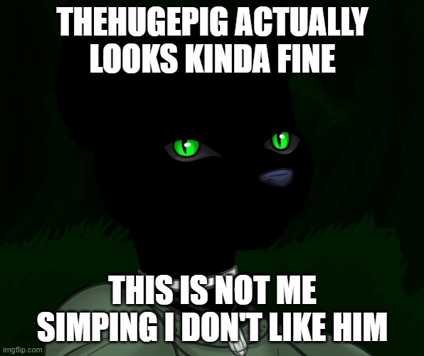 My new panther fursona | THEHUGEPIG ACTUALLY LOOKS KINDA FINE; THIS IS NOT ME SIMPING I DON'T LIKE HIM | image tagged in my new panther fursona | made w/ Imgflip meme maker