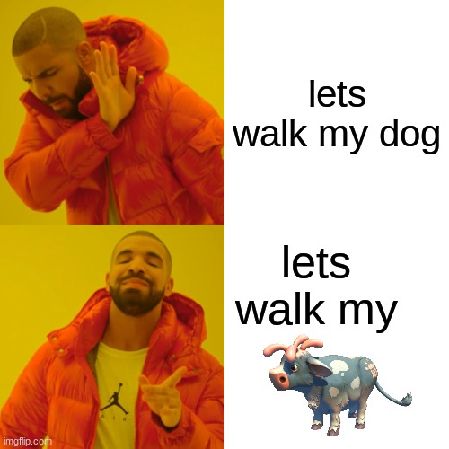 sm meme | lets walk my dog; lets walk my | image tagged in memes,drake hotline bling | made w/ Imgflip meme maker
