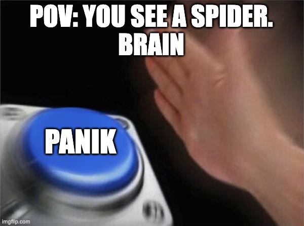 Blank Nut Button | POV: YOU SEE A SPIDER.

BRAIN; PANIK | image tagged in memes,blank nut button | made w/ Imgflip meme maker