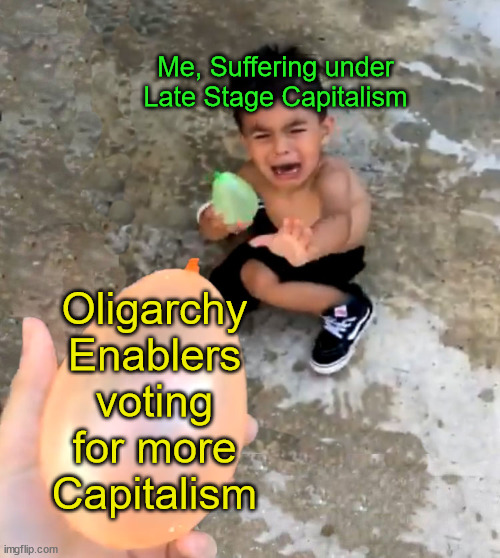 crying kid water balloon | Me, Suffering under Late Stage Capitalism; Oligarchy Enablers voting for more Capitalism | image tagged in crying kid water balloon,oligarchy,late stage capitalism,capitalism,vote | made w/ Imgflip meme maker