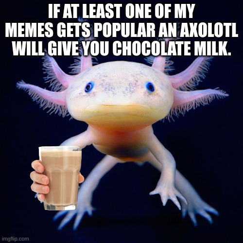 Axolotl  | IF AT LEAST ONE OF MY MEMES GETS POPULAR AN AXOLOTL WILL GIVE YOU CHOCOLATE MILK. | image tagged in axolotl,chocolate,milk | made w/ Imgflip meme maker