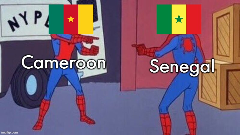 the flags look so similar | Cameroon; Senegal | image tagged in spiderman pointing at spiderman | made w/ Imgflip meme maker