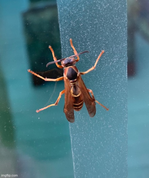 A dude. | made w/ Imgflip meme maker