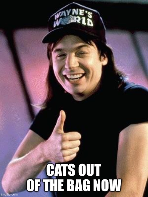 Wayne's world  | CATS OUT OF THE BAG NOW | image tagged in wayne's world | made w/ Imgflip meme maker