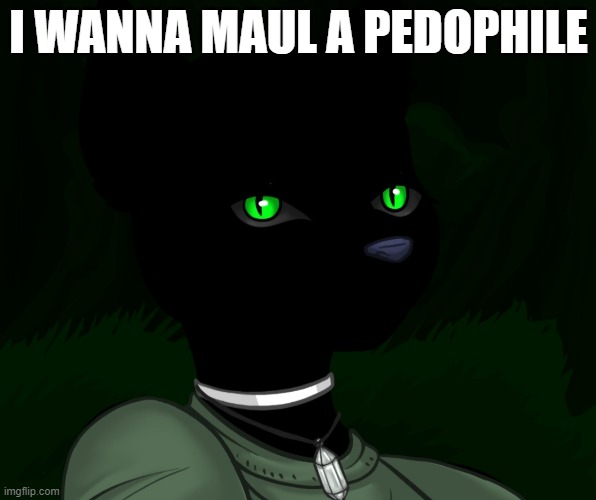 My new panther fursona | I WANNA MAUL A PEDOPHILE | image tagged in my new panther fursona | made w/ Imgflip meme maker