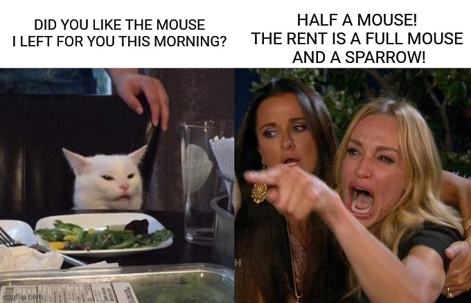 a day in the life | DID YOU LIKE THE MOUSE I LEFT FOR YOU THIS MORNING? HALF A MOUSE! 
THE RENT IS A FULL MOUSE 
AND A SPARROW! | image tagged in woman yelling at cat | made w/ Imgflip meme maker