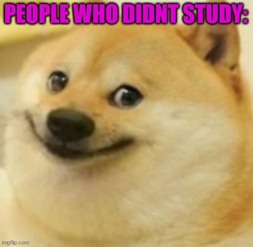 Smile Doge (Cropped) | PEOPLE WHO DIDNT STUDY: | image tagged in smile doge cropped | made w/ Imgflip meme maker