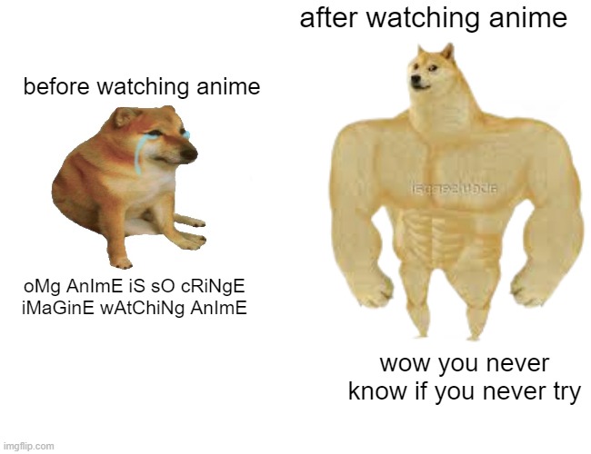 Try it | after watching anime; before watching anime; oMg AnImE iS sO cRiNgE iMaGinE wAtChiNg AnImE; wow you never know if you never try | image tagged in anime,buff doge vs cheems | made w/ Imgflip meme maker