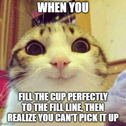 Smiling Cat | WHEN YOU; FILL THE CUP PERFECTLY TO THE FILL LINE, THEN REALIZE YOU CAN'T PICK IT UP | image tagged in memes,smiling cat | made w/ Imgflip meme maker