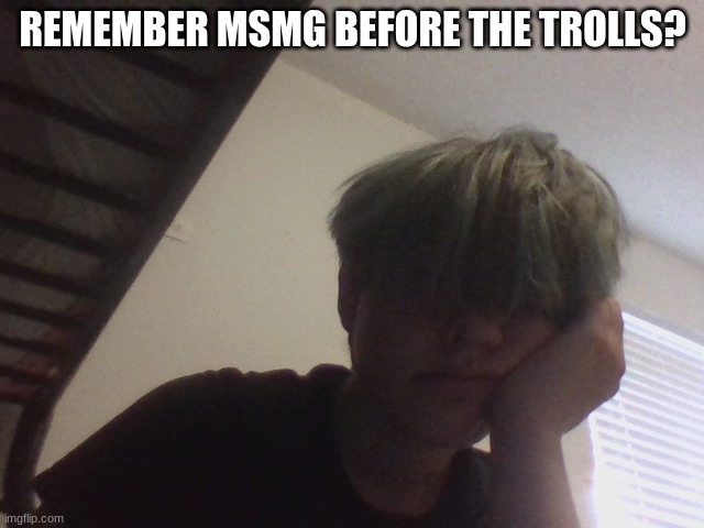 ignore my hair my mom made me get a shitty cut a while back and the bangs grew back but the rest is short | REMEMBER MSMG BEFORE THE TROLLS? | made w/ Imgflip meme maker