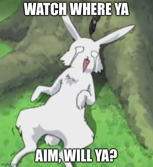 Y’all remember that moment when Naruto Almost killed this rabbit | WATCH WHERE YA; AIM, WILL YA? | image tagged in naruto-episode7,memes,aim,naruto shippuden,rabbit,bunny | made w/ Imgflip meme maker