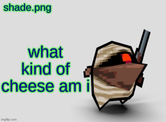 shade.png's  bandit temp. | what kind of cheese am i | image tagged in shade png's bandit temp | made w/ Imgflip meme maker