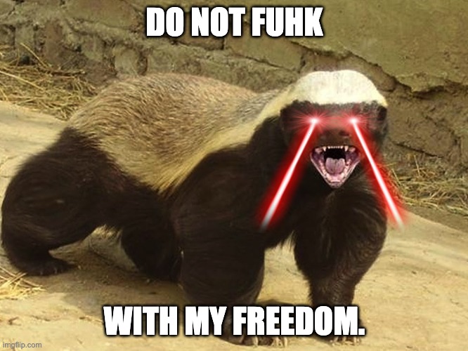 BTC is Freedom | DO NOT FUHK; WITH MY FREEDOM. | image tagged in ncad honeybadger | made w/ Imgflip meme maker