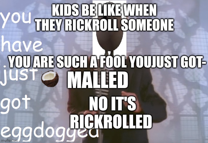 Hehehe | KIDS BE LIKE WHEN THEY RICKROLL SOMEONE; YOU ARE SUCH A FOOL YOUJUST GOT-; MALLED; NO IT'S RICKROLLED | image tagged in eggdogged | made w/ Imgflip meme maker