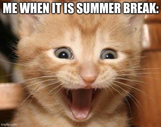 Summer Break |  ME WHEN IT IS SUMMER BREAK: | image tagged in memes,excited cat | made w/ Imgflip meme maker