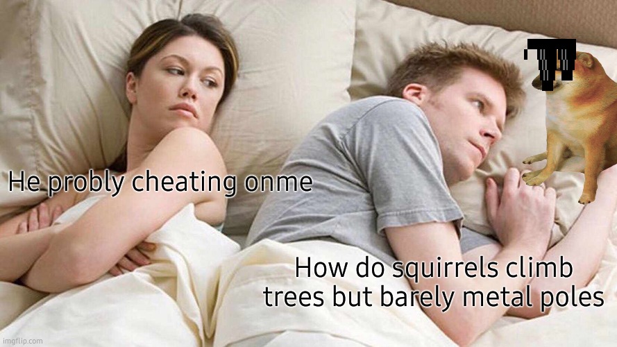 bre | He probly cheating onme; How do squirrels climb trees but barely metal poles | image tagged in memes,i bet he's thinking about other women | made w/ Imgflip meme maker