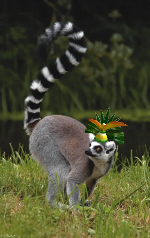 King Julian but Real | made w/ Imgflip meme maker