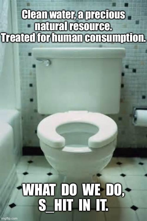 Water, a natural resource | Clean water, a precious natural resource.
Treated for human consumption. WHAT  DO  WE  DO,
S_HIT  IN  IT. | image tagged in toilet,water,natural resource,treated,what we do,s_it in it | made w/ Imgflip meme maker
