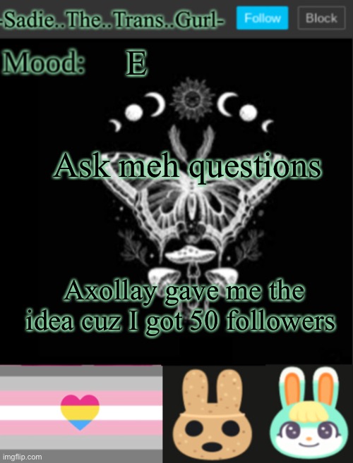 E | E; Ask meh questions; Axollay gave me the idea cuz I got 50 followers | image tagged in sadiesannouncement temp | made w/ Imgflip meme maker