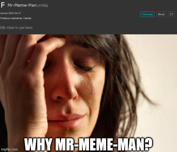 WHY MR-MEME-MAN? | image tagged in memes,first world problems | made w/ Imgflip meme maker