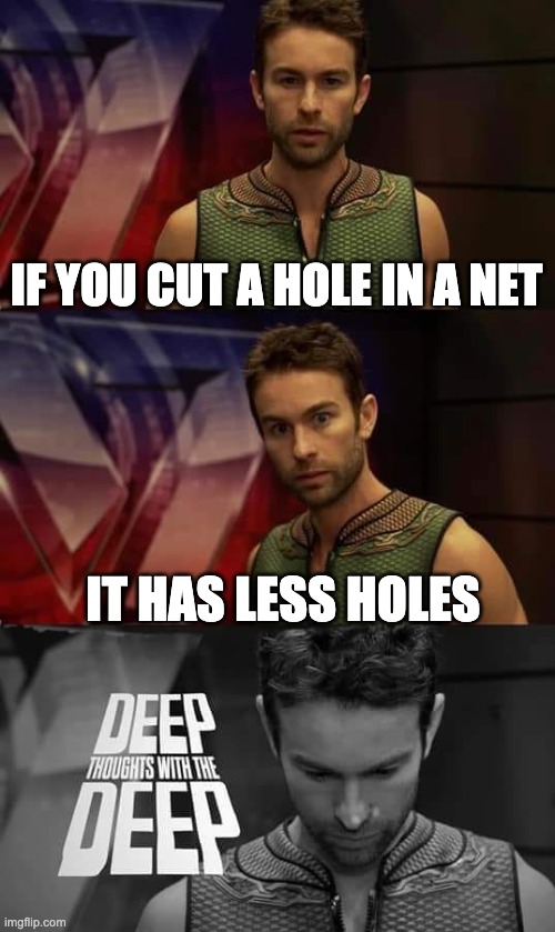 Net | IF YOU CUT A HOLE IN A NET; IT HAS LESS HOLES | image tagged in deep thoughts with the deep | made w/ Imgflip meme maker