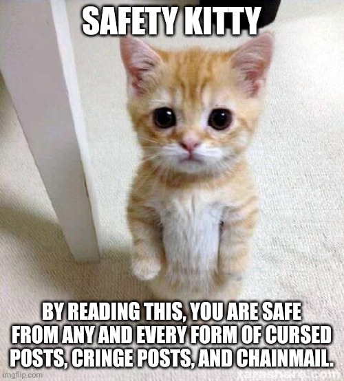 Cute Cat Meme | SAFETY KITTY; BY READING THIS, YOU ARE SAFE FROM ANY AND EVERY FORM OF CURSED POSTS, CRINGE POSTS, AND CHAINMAIL. | image tagged in memes,cute cat | made w/ Imgflip meme maker