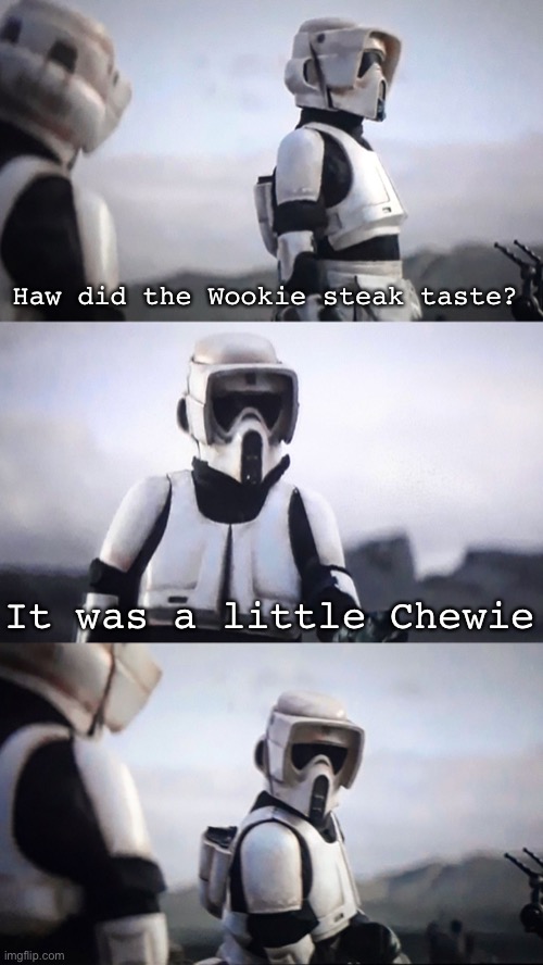 Chewie steak | Haw did the Wookie steak taste? It was a little Chewie | image tagged in storm trooper conversation,chewie,steak,wookie | made w/ Imgflip meme maker