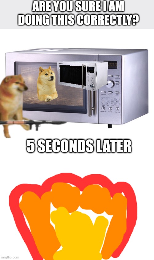 How to microwave memes? | ARE YOU SURE I AM DOING THIS CORRECTLY? 5 SECONDS LATER | image tagged in microwave,blank white template | made w/ Imgflip meme maker