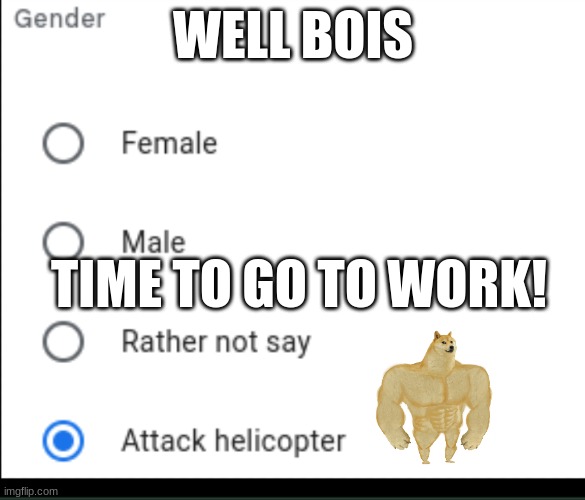 Time for work |  WELL BOIS; TIME TO GO TO WORK! | image tagged in attack helicopter | made w/ Imgflip meme maker